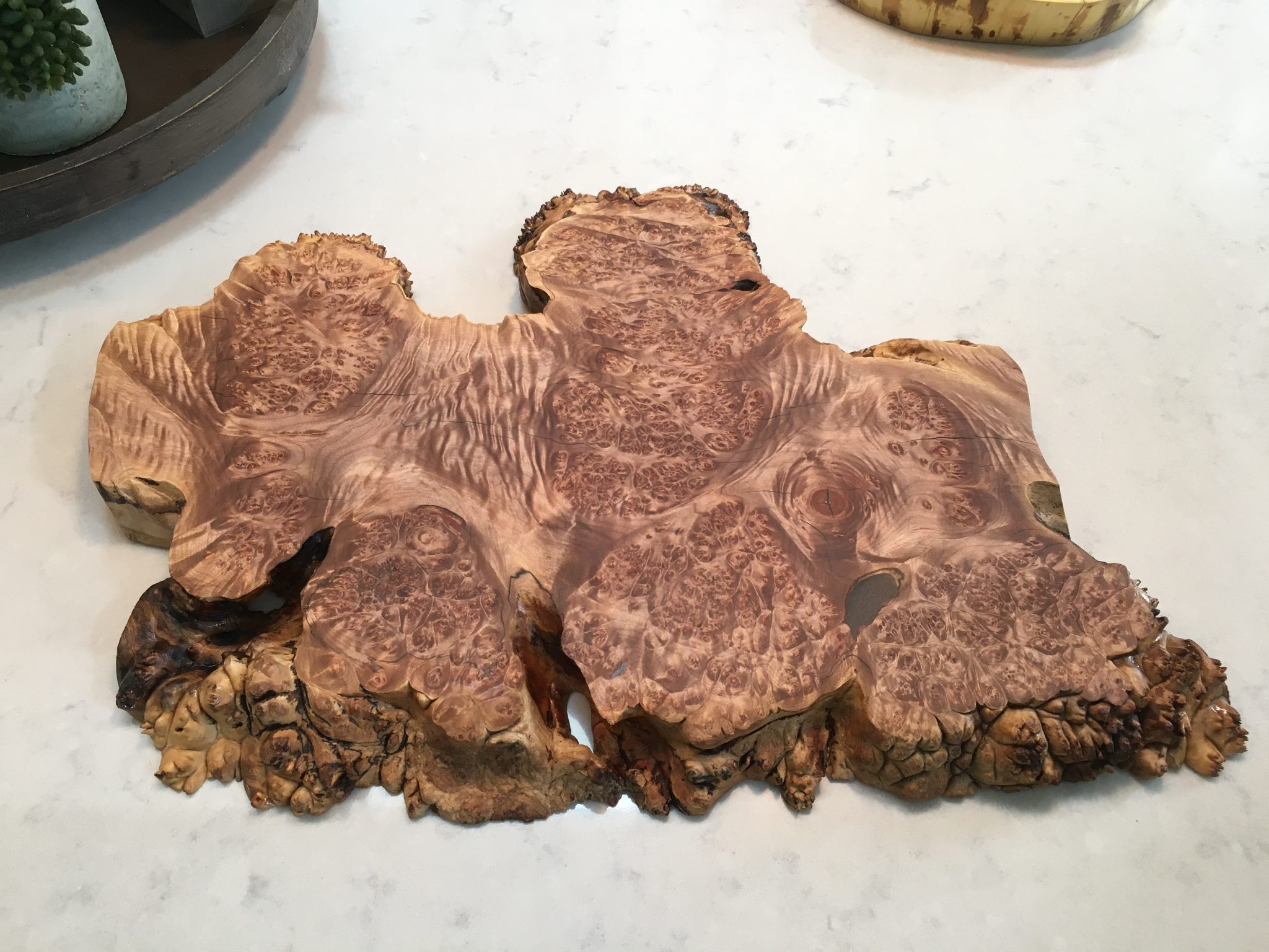 Burl wood slice displaying natural grain patterns and texture on white surface