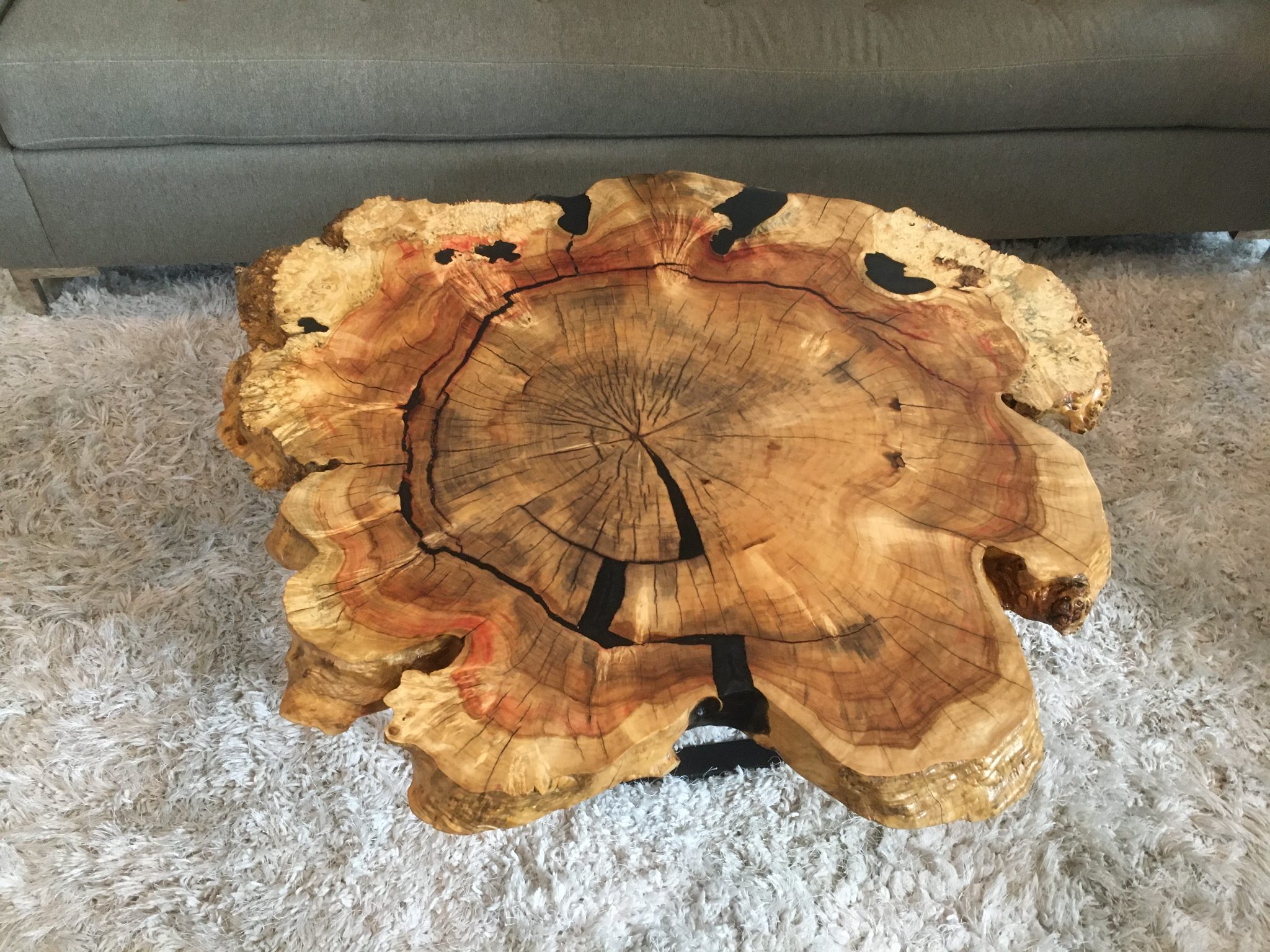 Natural wood cross-section table with tree rings and organic wavy edges on gray rug