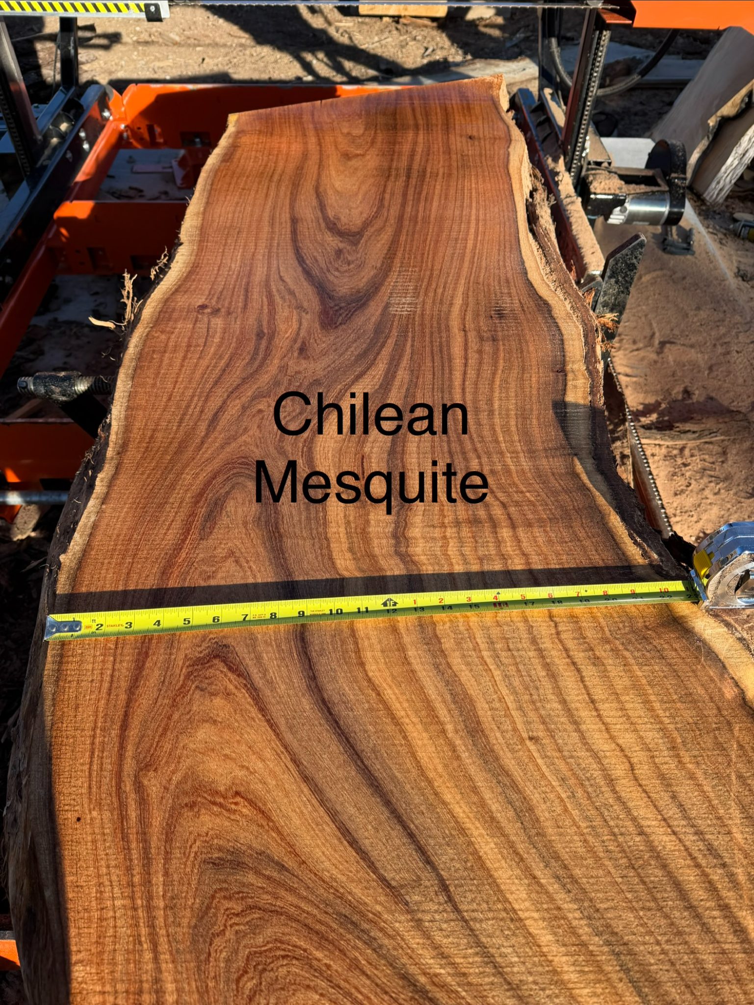 Fresh-cut Chilean Mesquite wood slab on industrial equipment with measuring tape