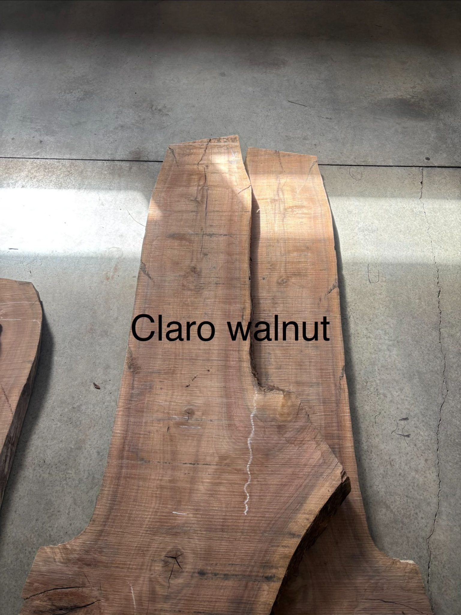 Claro walnut wood slab on concrete floor displaying natural grain and color