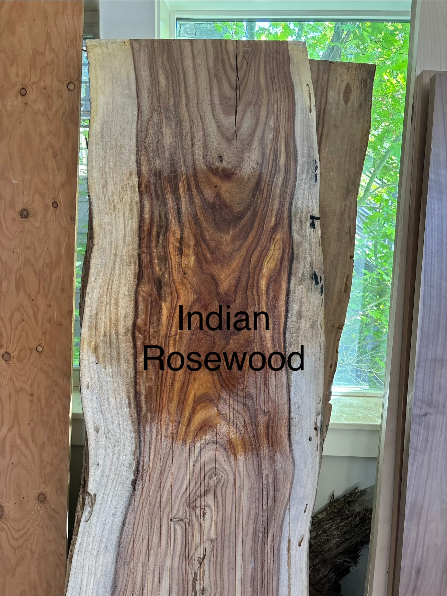 Indian Rosewood lumber slab with natural grain patterns displayed indoors