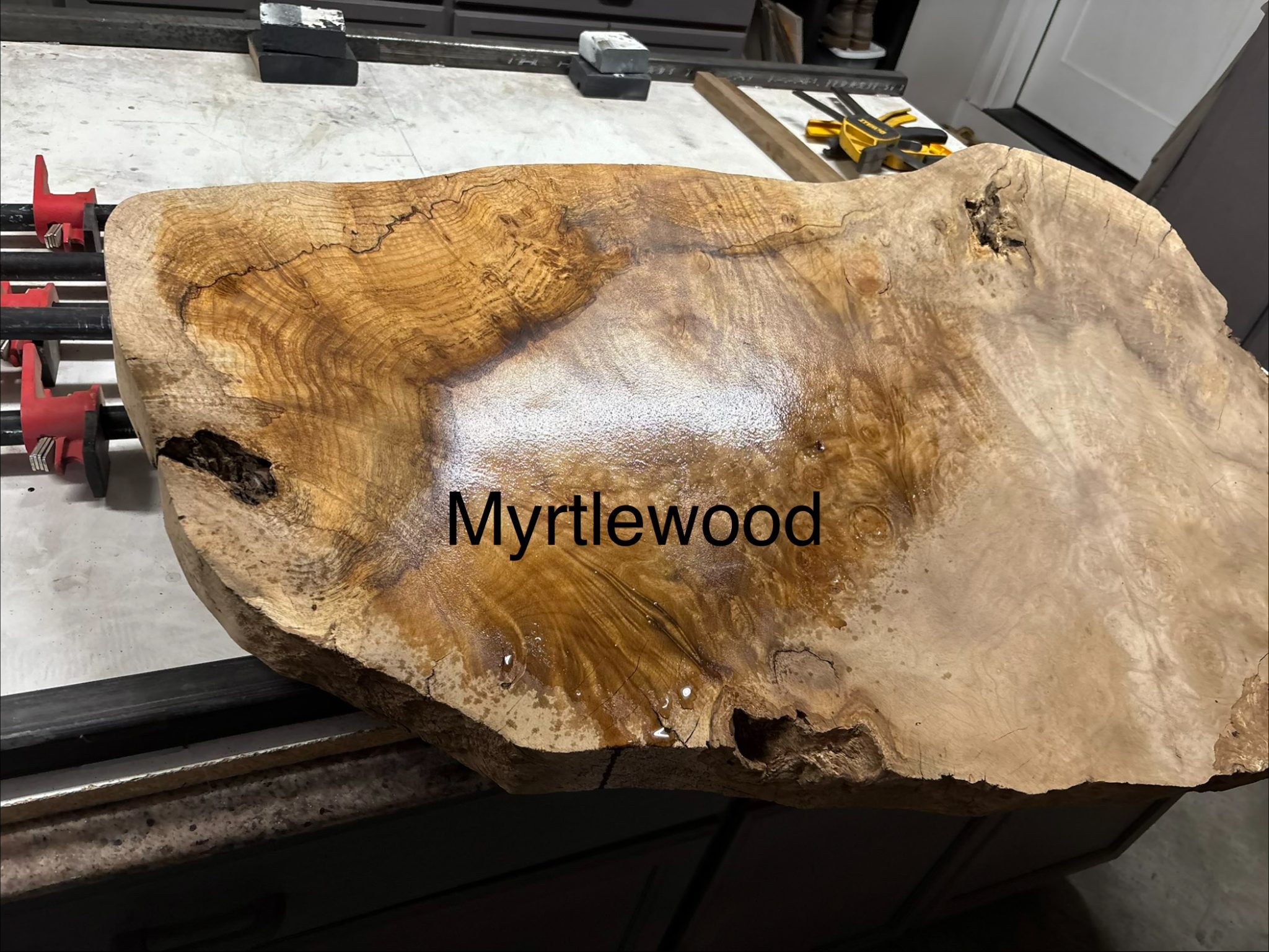 Rough-cut myrtle wood slab with natural grain patterns on workshop table