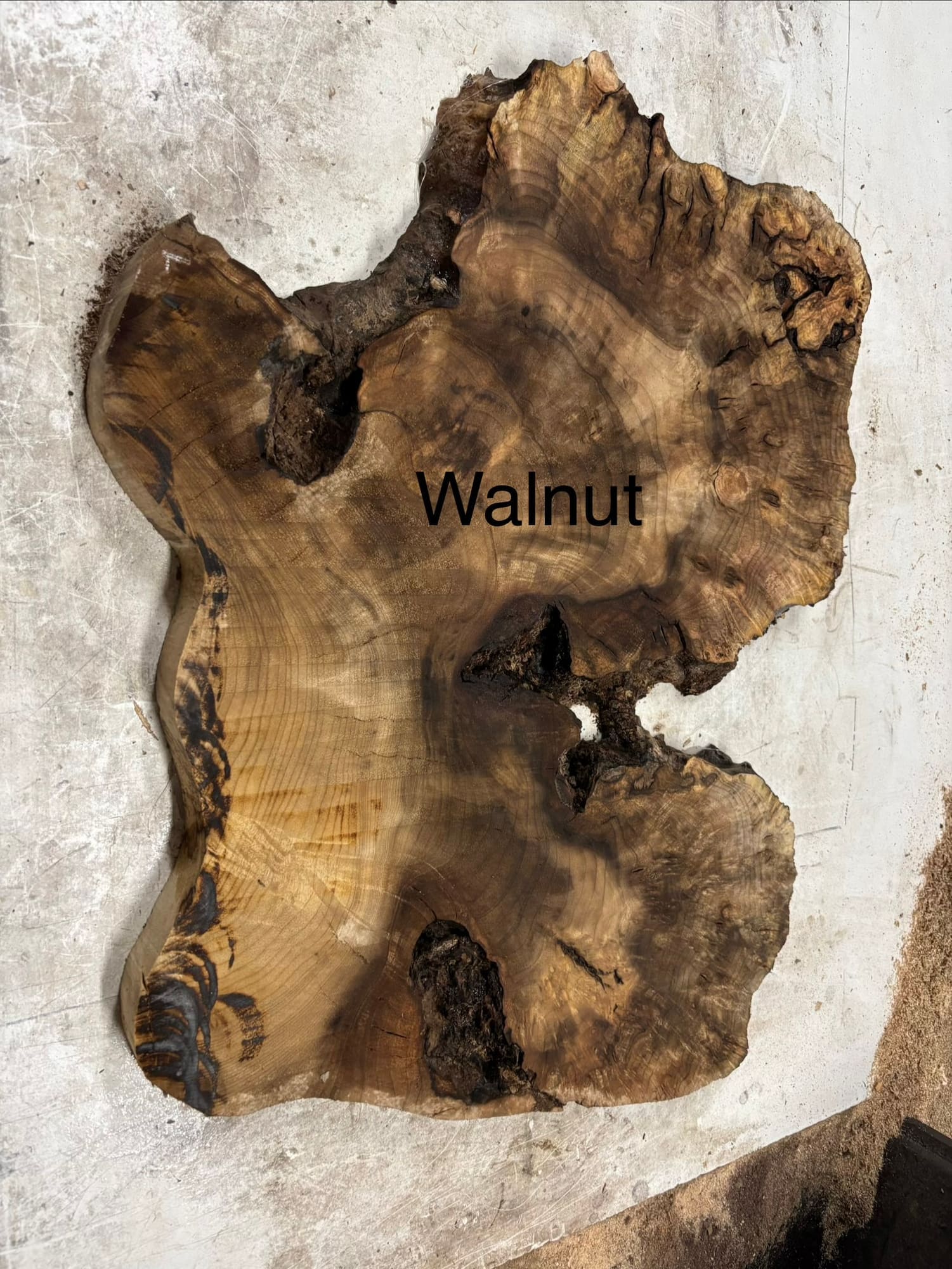 Walnut round slab